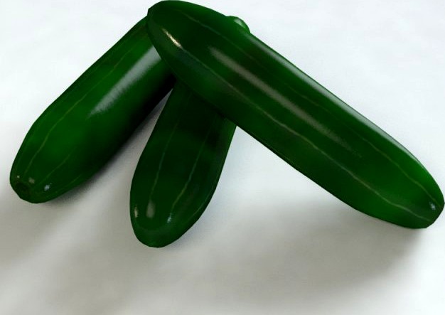 Cucumber 3D Model