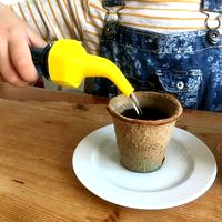 Recycled bottle Watering can