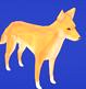 Dingo