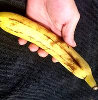 High Resolution Scan of a Banana.