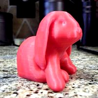 Ducky The Lop Eared Bunny Remix No Supports Needed