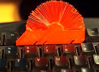 Hedgehog with spikes (hairy print)