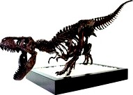 T-Rex Skeleton - Leo Burton Mount