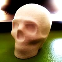 Lisa the printable skull