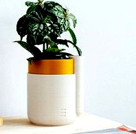 Self-Watering Planter (Small)