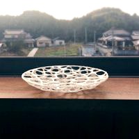 Voronoi dish