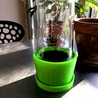 Mini greenhouse pot