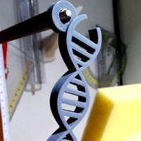 DNA keychain