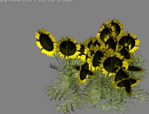 Sunflower Patch 3D Model