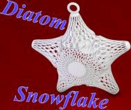 Diatom snowflake