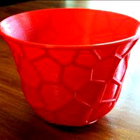 Voronoi Cup