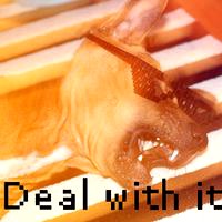 DEAL WITH IT - Shades