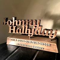 Johnny Hallyday 3D