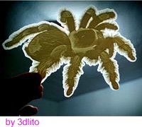 Tarantula lithophane