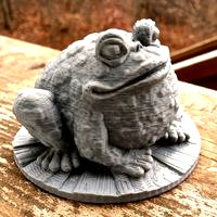 Garden Toad