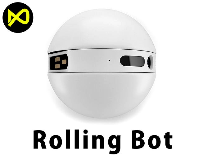 LG Rolling Bot