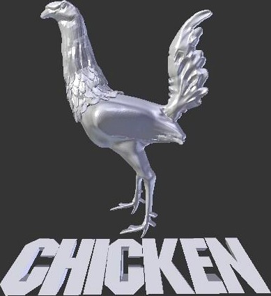 Rooster Bold Chicken | 3D