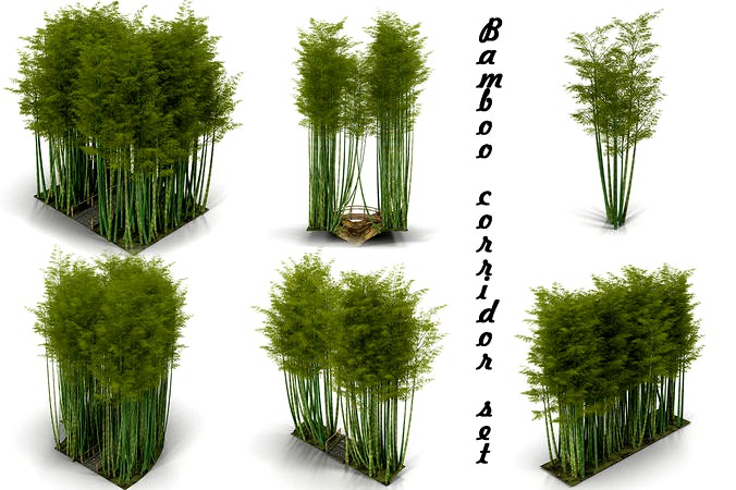 Bamboo corridor set