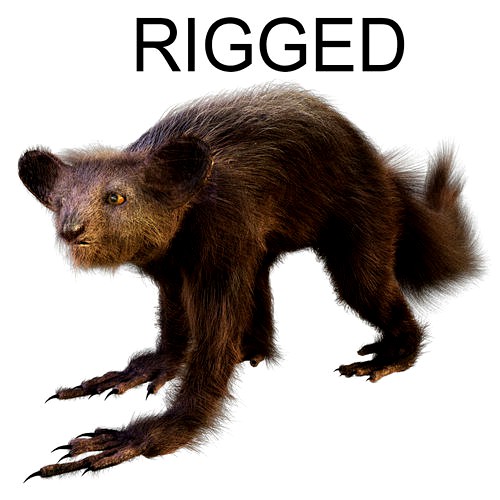 Aye Aye