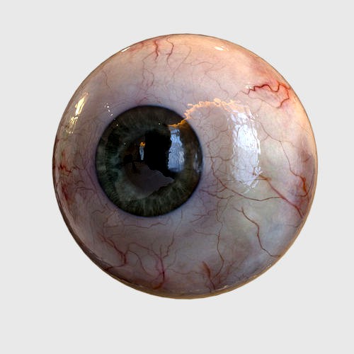 Human Eye Realistic