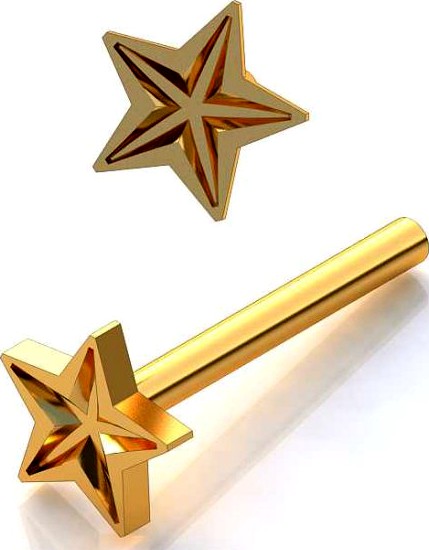 Earrings  i  021 3D Model