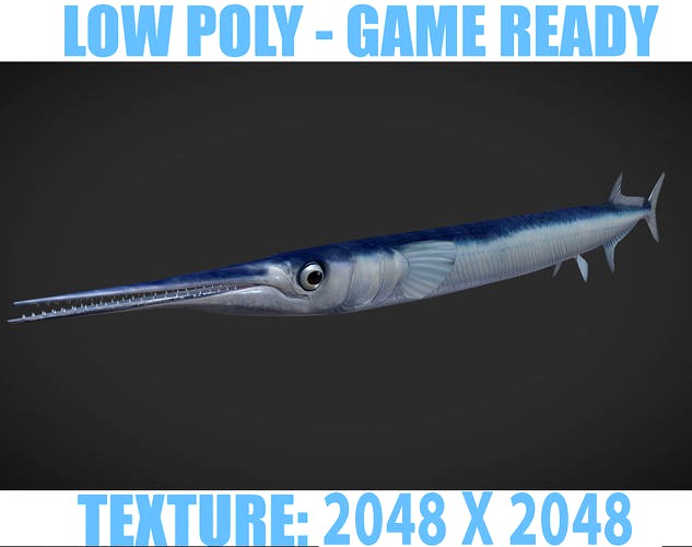 SwordFish