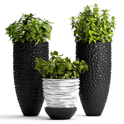Decorative plants set-1