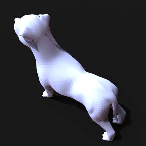 Boxer dog | 3D