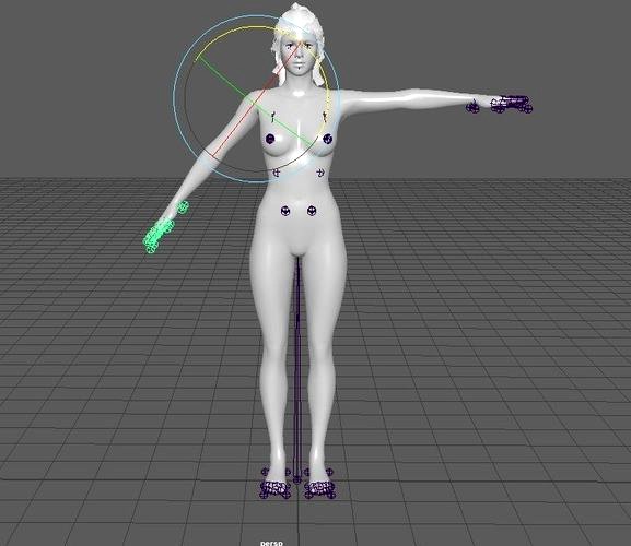 RIgged Female Character