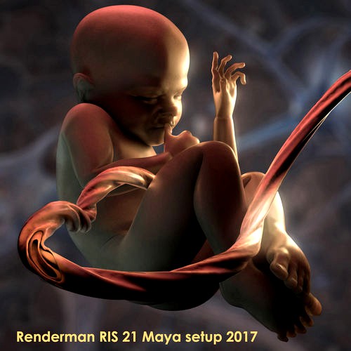 Mature Stage Fetus with Joints