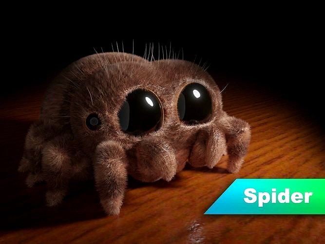 Stylized cute spider