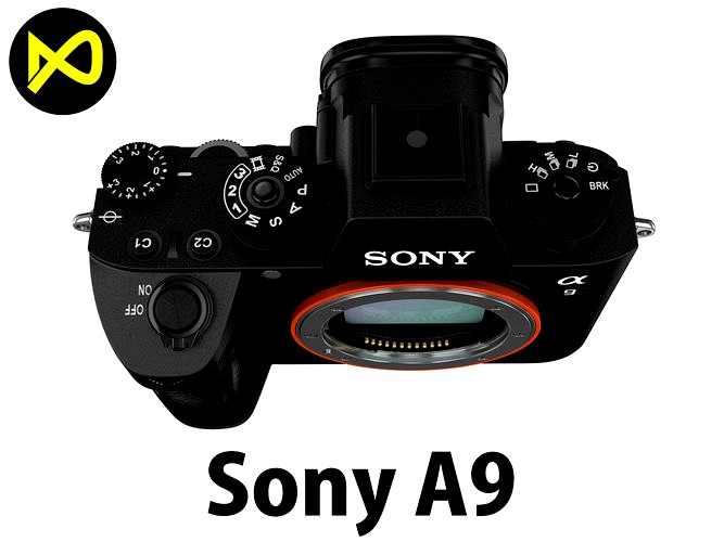 3D Sony Alpha 9 Body Only