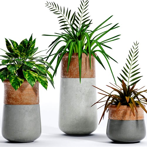 Decorative plant set-5