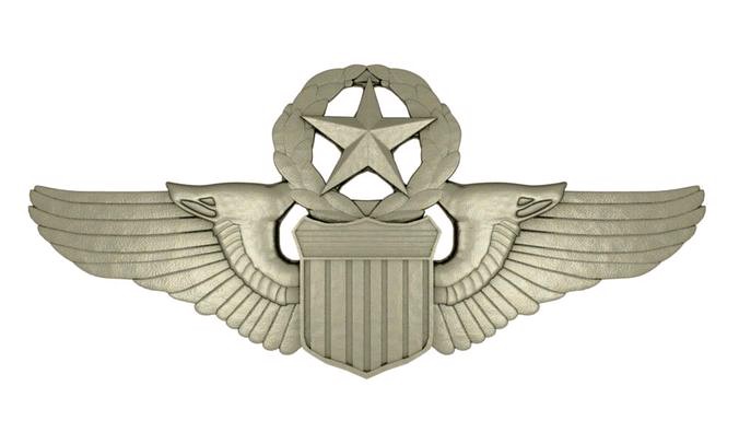 Silver Wings Badge