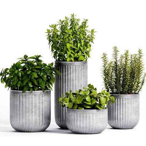 Decorative plant set-2