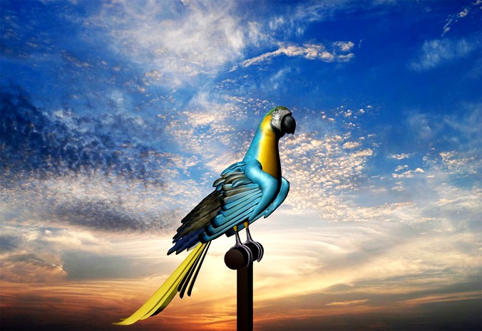 3d Bird model
