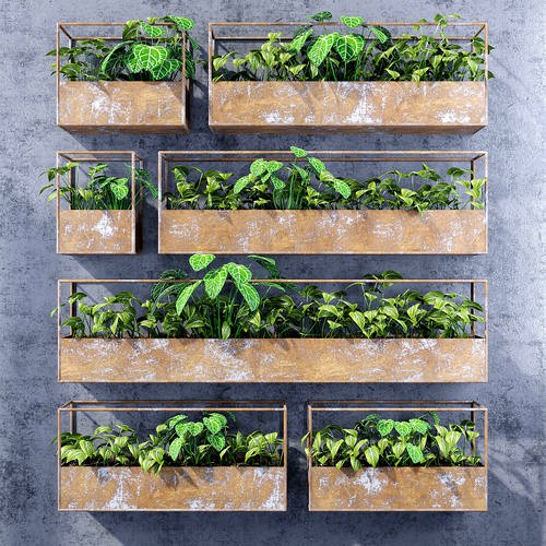 Rectangular shelves three