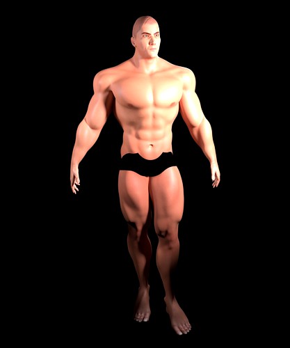 Muscular Man Heroic Model