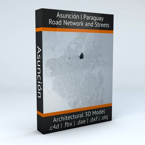 Asuncion Road Network and Streets