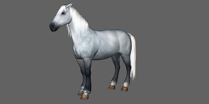 Horse Rigged Animated