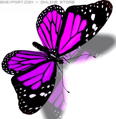 Pretty Butterfly 3D Model