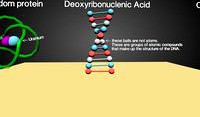 Macromolecules test
