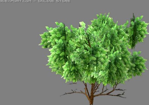 Bush1 3D Model