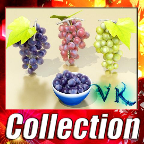 Grapes Collection High Detailed 3D Model