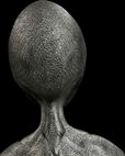 Humanoid Alien