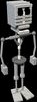 endoskeleton