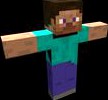 Steve Rig Test