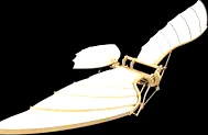 Leonardo Da Vinci - Flying Machine