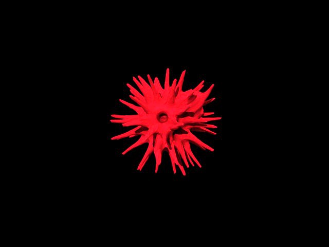 Hellraiser