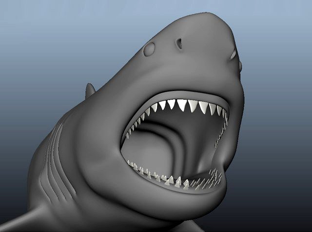 Great White Shark 3D Model